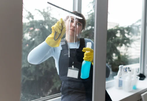 Nettoyage de vitres intérieures et extérieures à Cauna